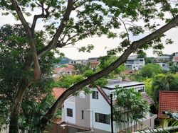 Hillcrest Arcadia (D11), Condominium #525393001
